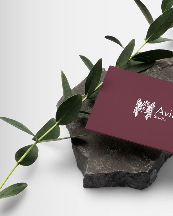 Avian Studio kartviziti